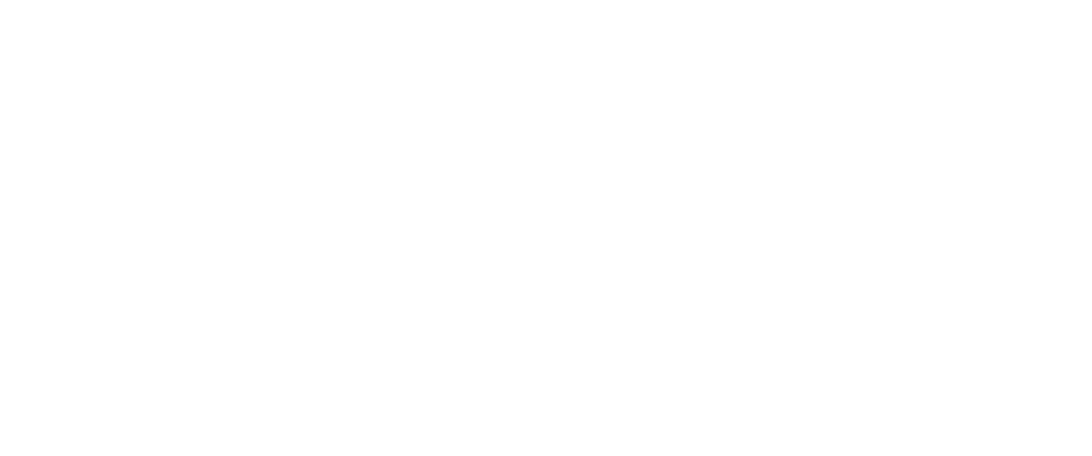 Motion Turismo